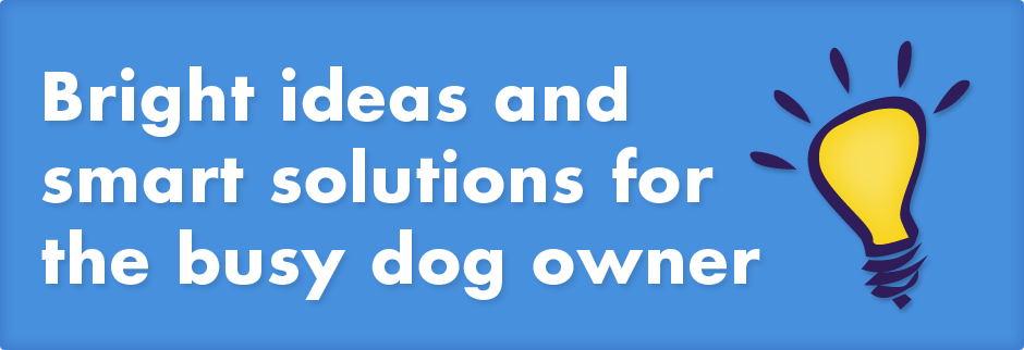 Bright ideas and smart solutions for the busy dog owner